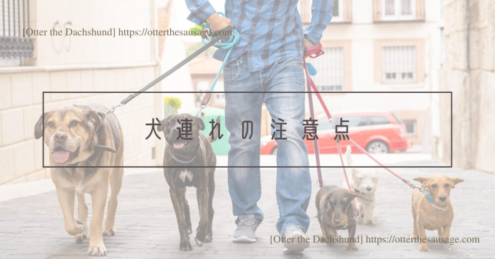 Blog Header image_犬と旅行_犬連れ旅行_pet博横浜2023_犬連れの注意点